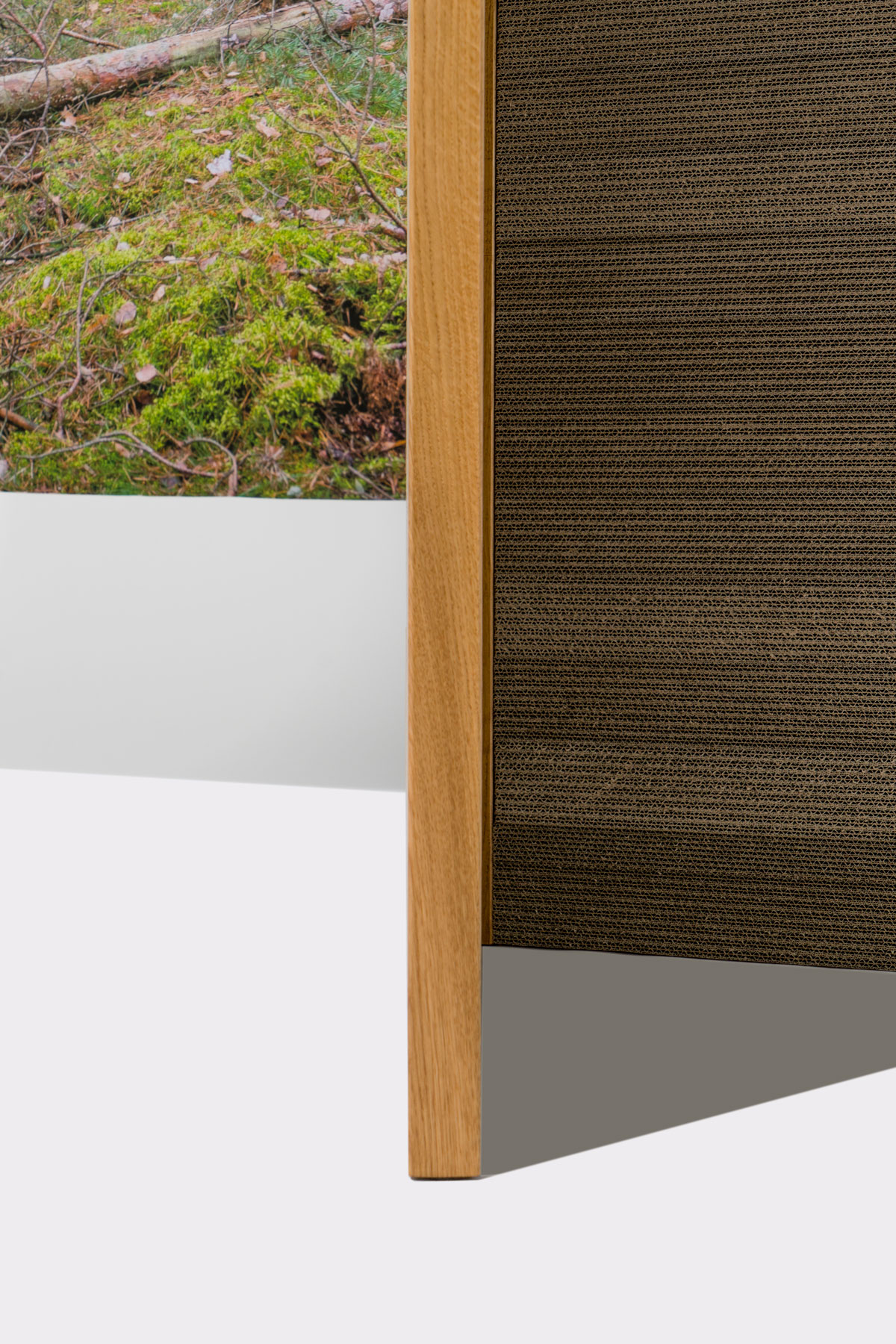 Staged photo of Beiwind